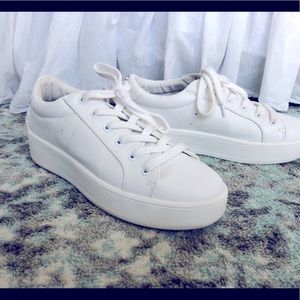 Steve Madden Bertie Sneakers